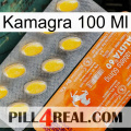 Kamagra 100 Ml new05